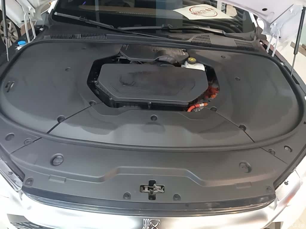 BYD Han, 2020 20