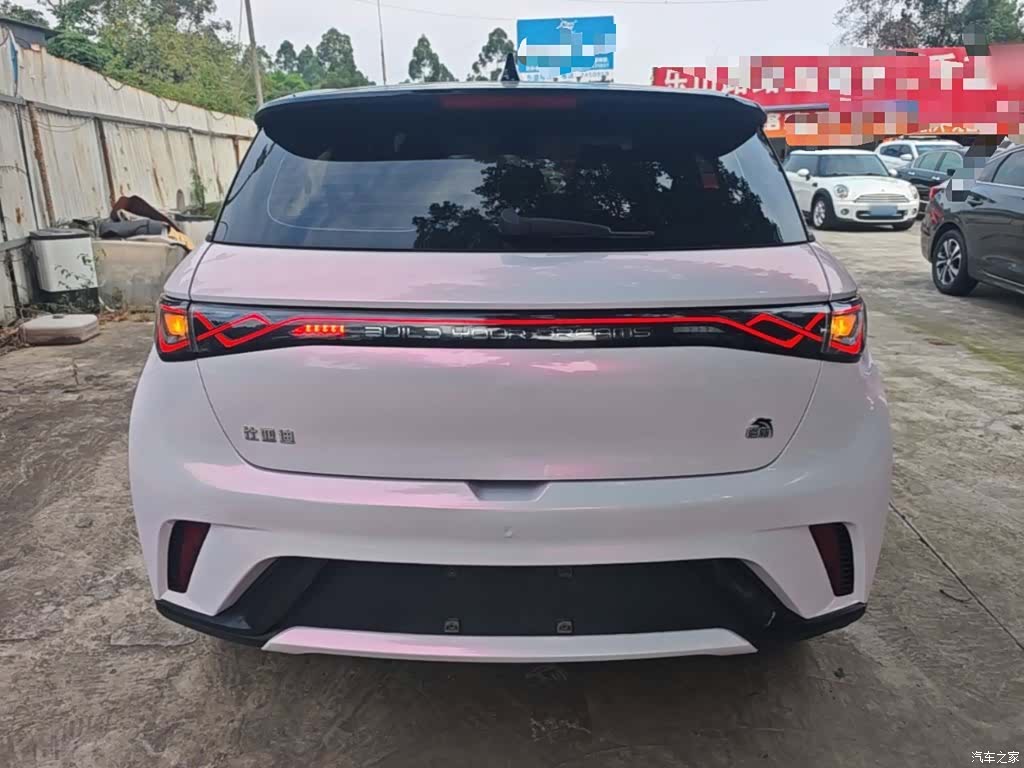 BYD Dolphin, 2023 6