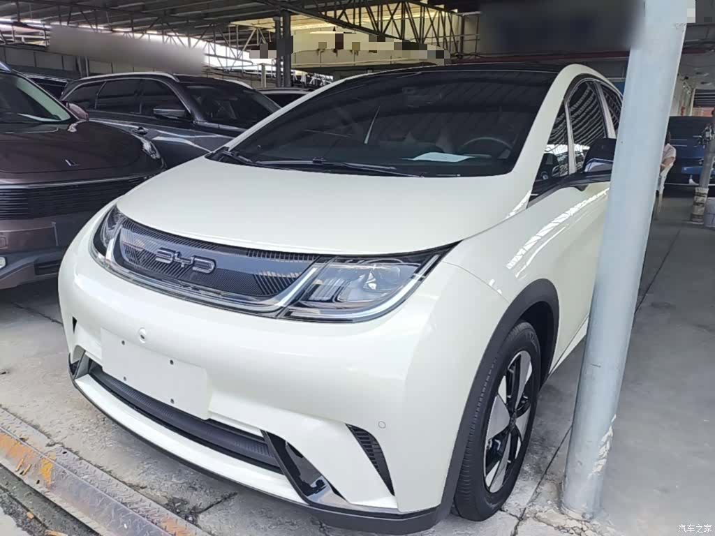 BYD Dolphin, 2023 2