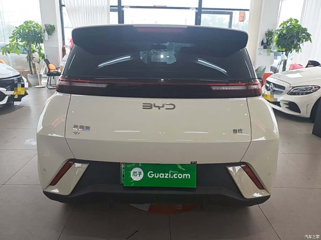 BYD Seagull, 2024 6