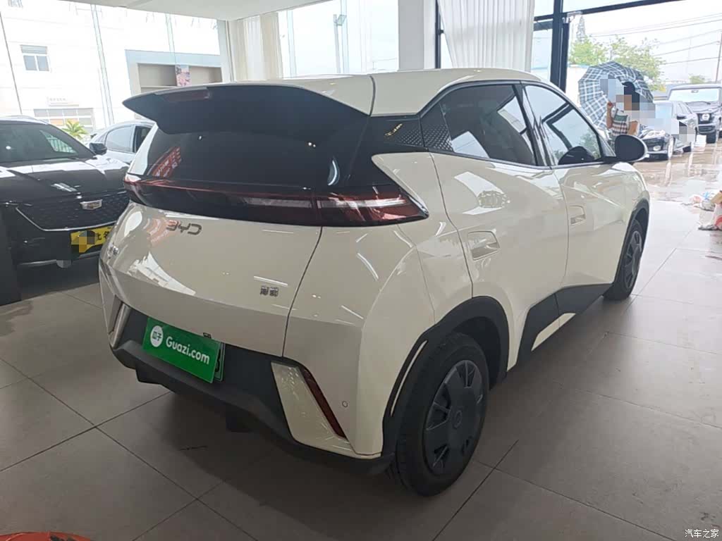 BYD Seagull, 2024 7