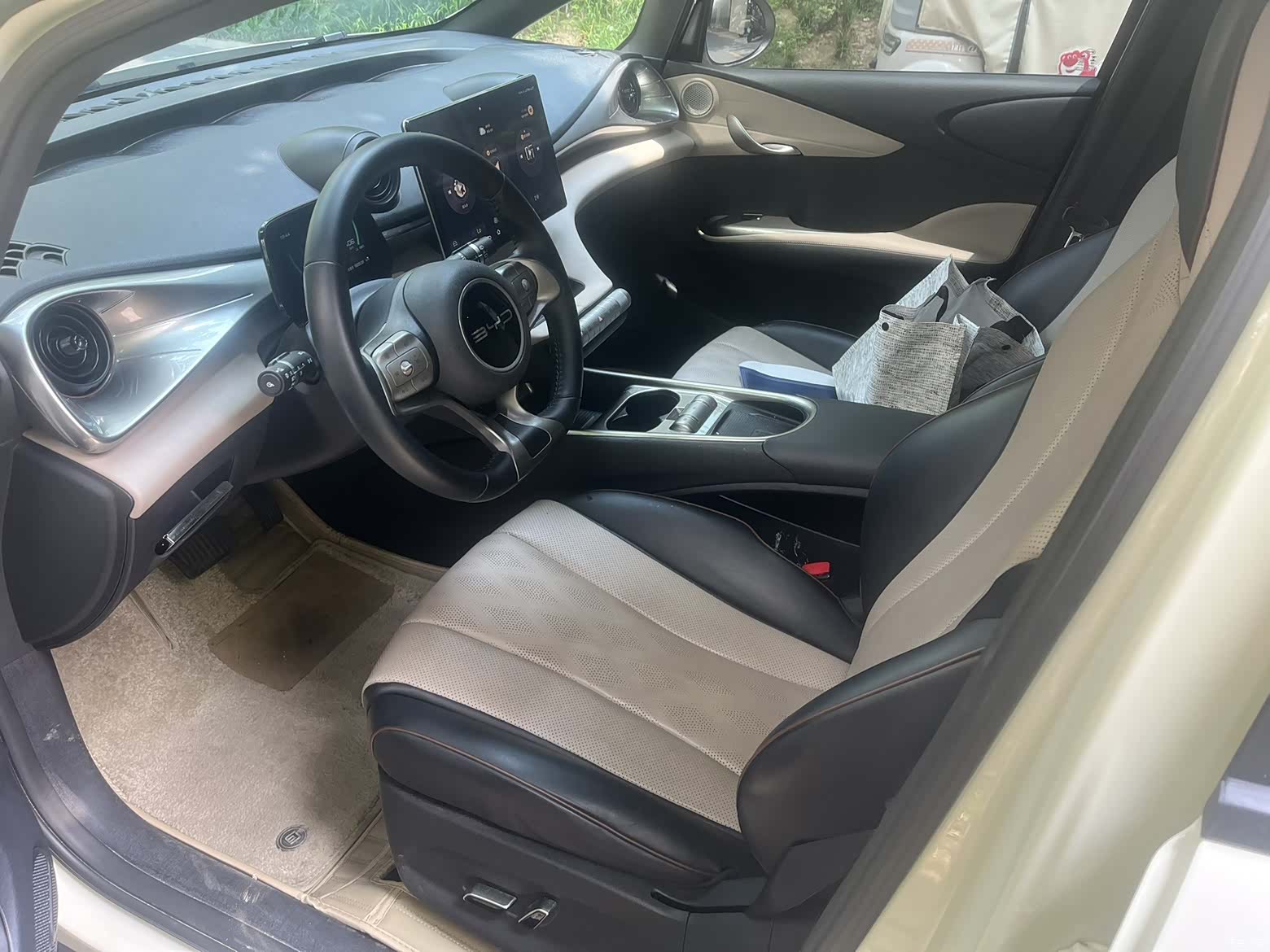 BYD Dolphin, 2023 все фото