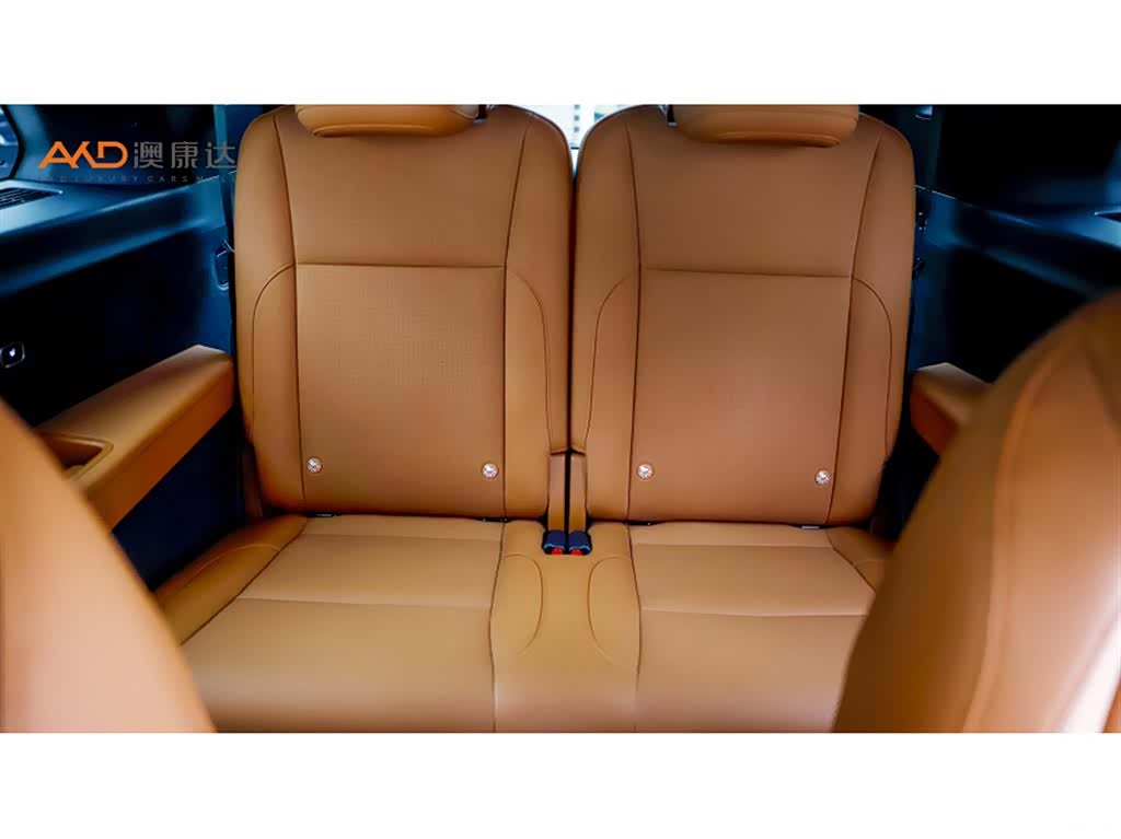 Li Auto L9, 2024 9