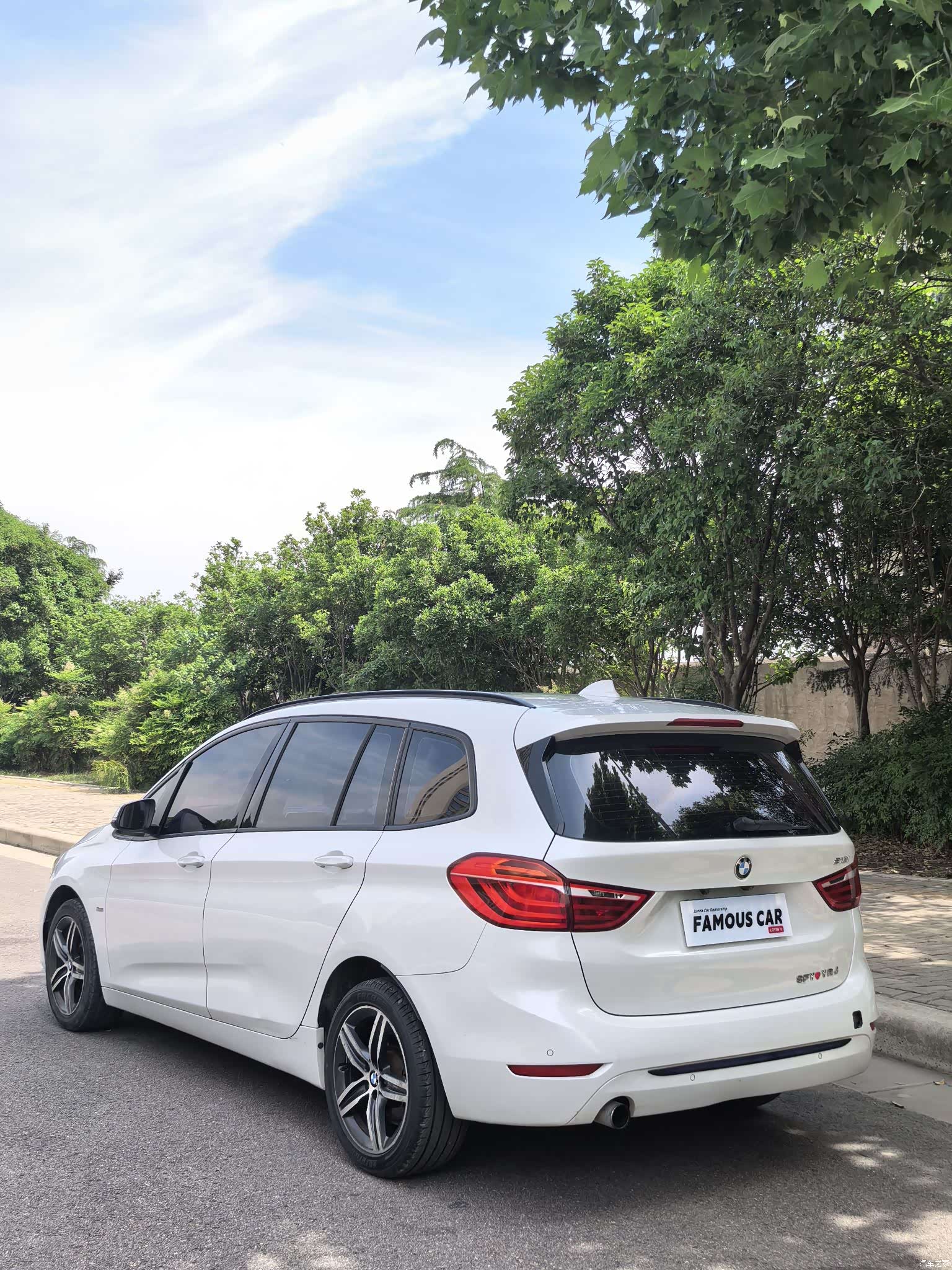 BMW 2 Series, 2016 6