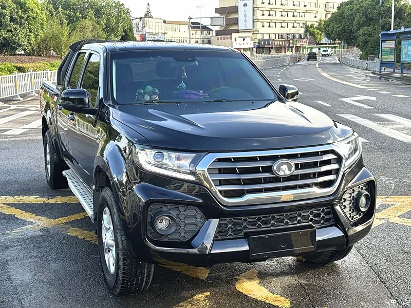Great Wall D20D, 2019 17