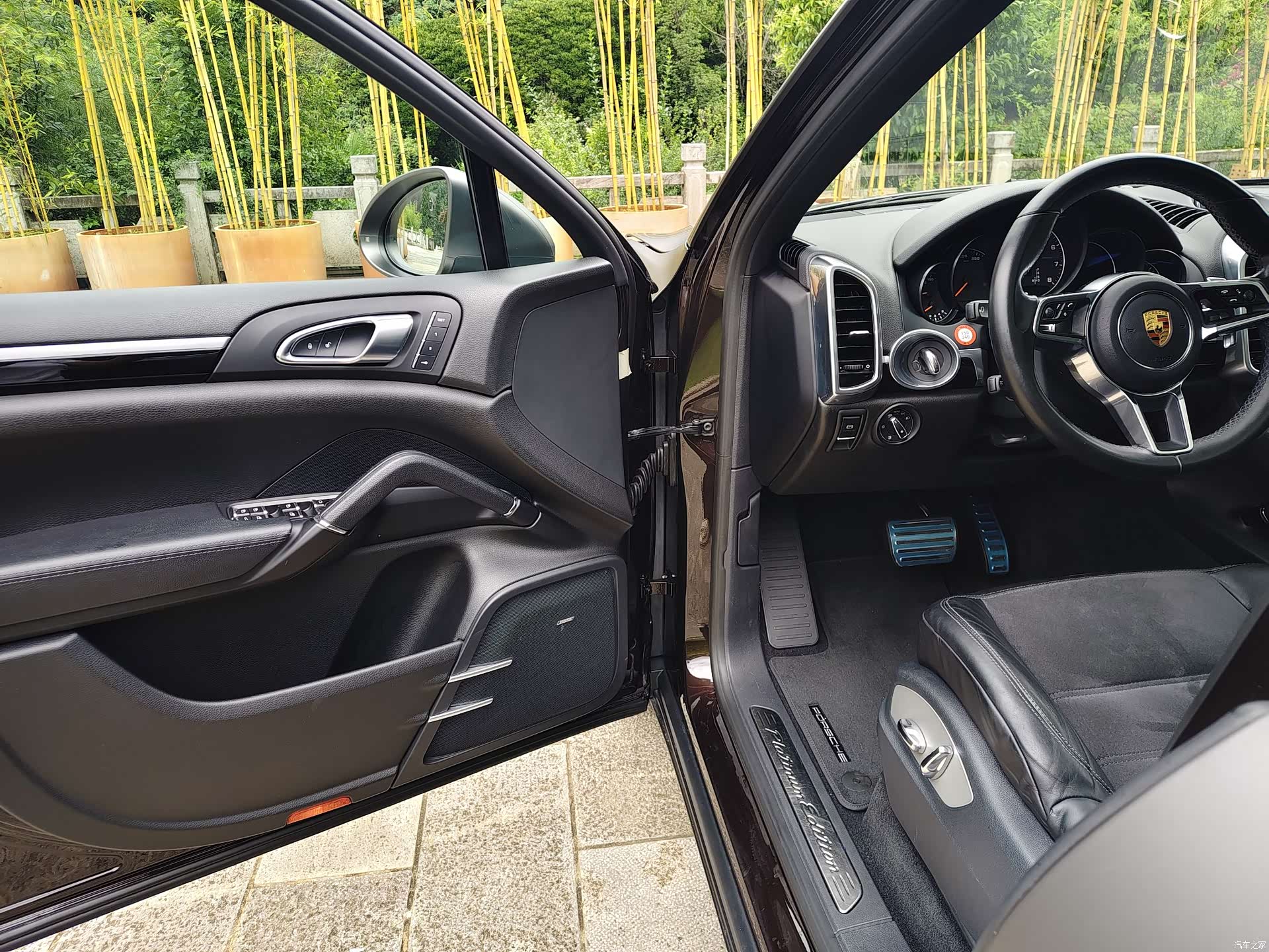 Cayenne Platinum, 2017 13
