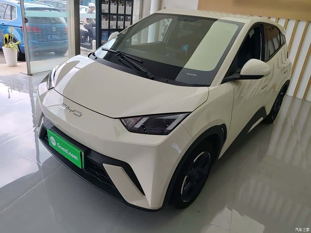 BYD Seagull, 2024 2
