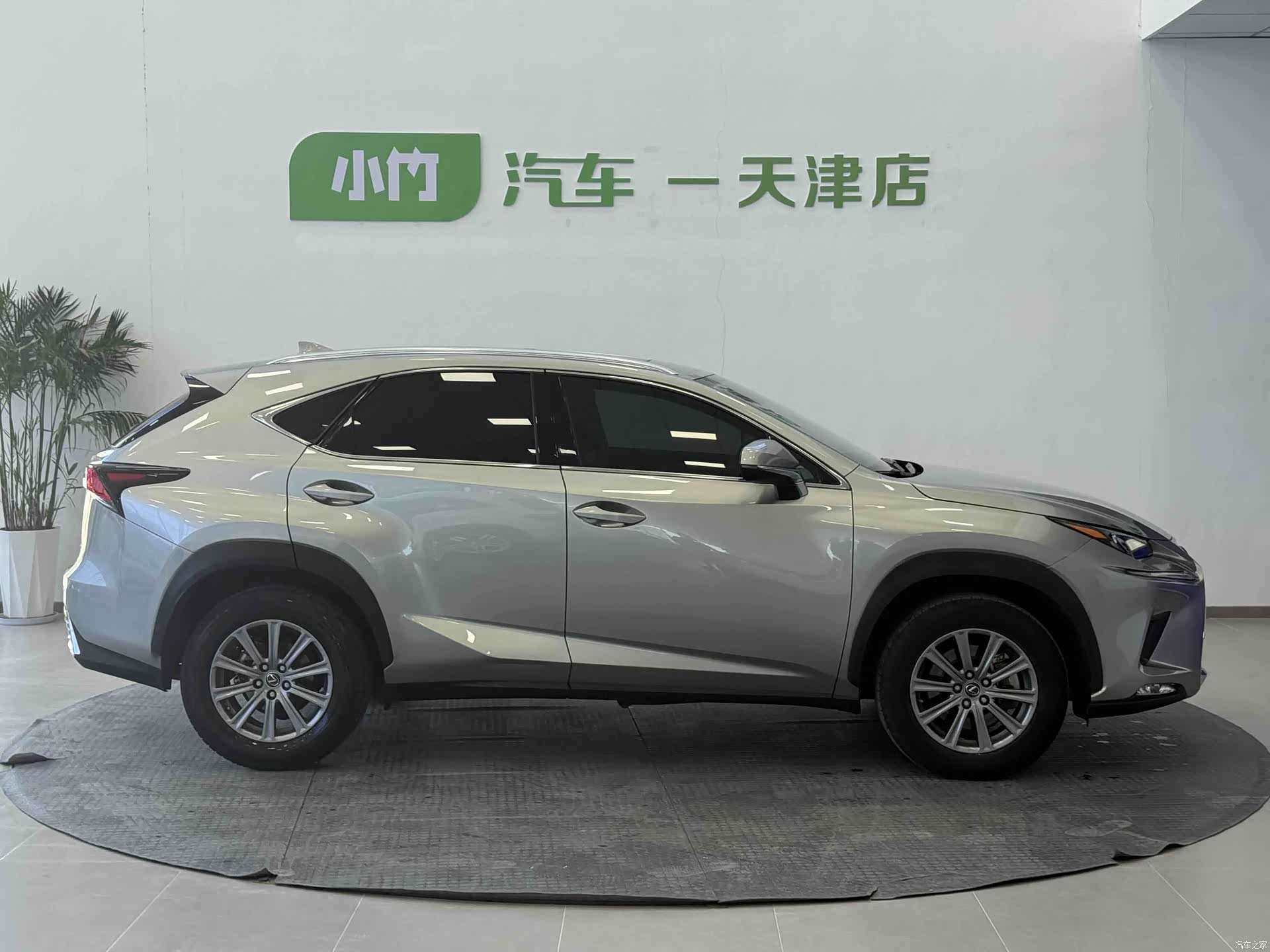 Lexus NX, 2020 все фото