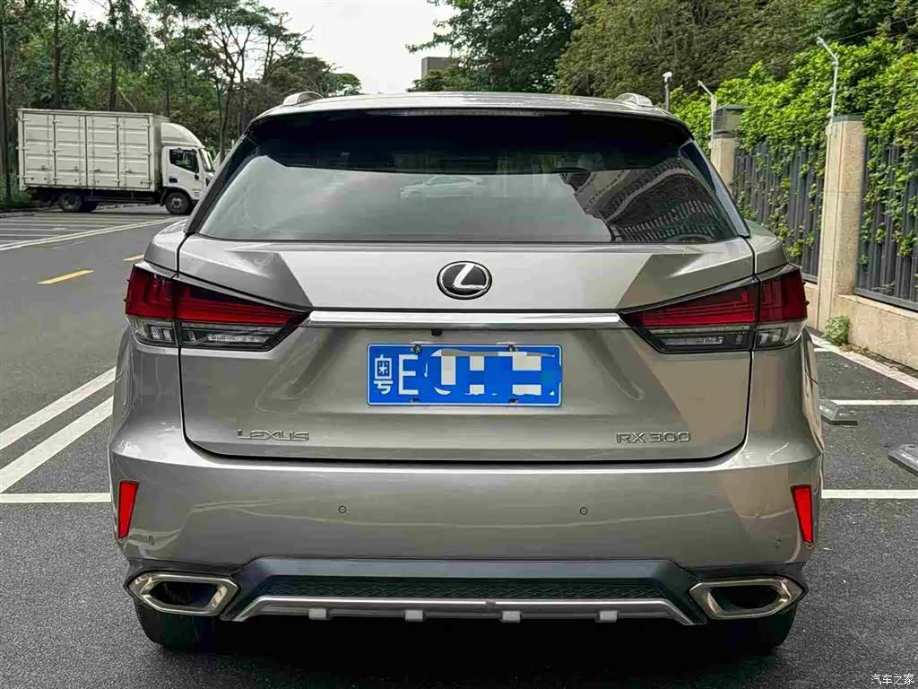 Lexus RX, 2019 все фото