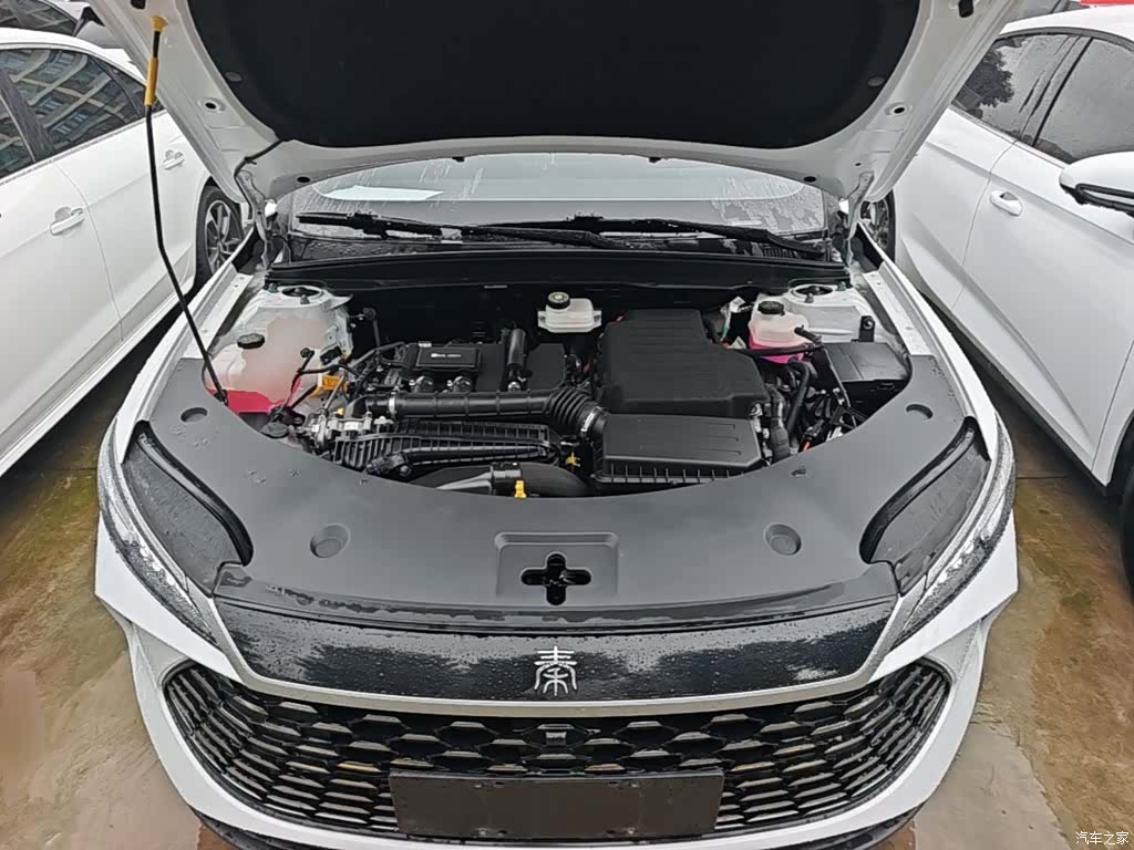 BYD Qin, 2025 20