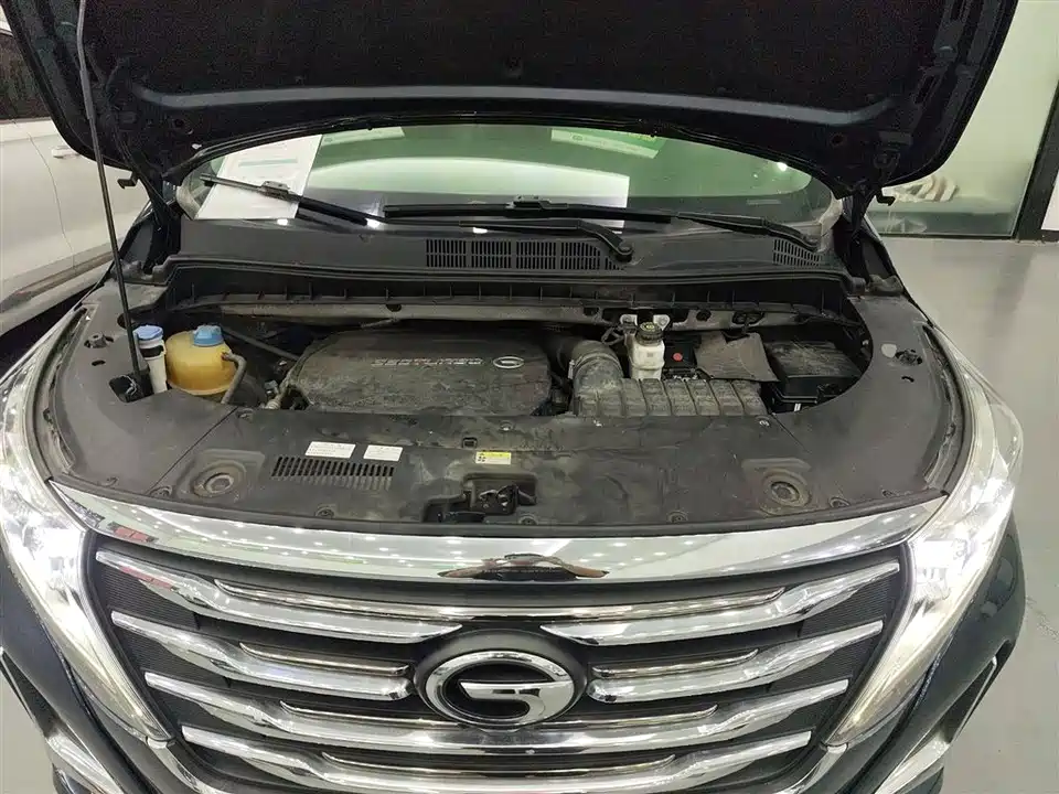 Trumpchi Trumpchi M8