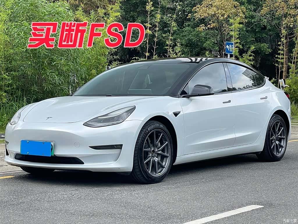 Tesla Model 3, 2019 1