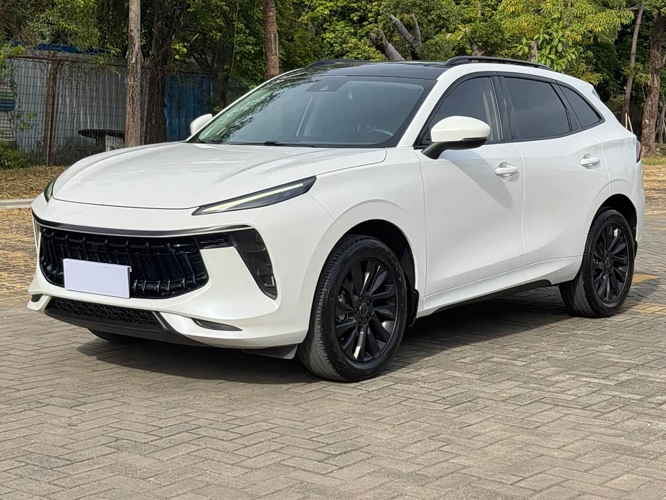 Forthing Popular T5 EVO