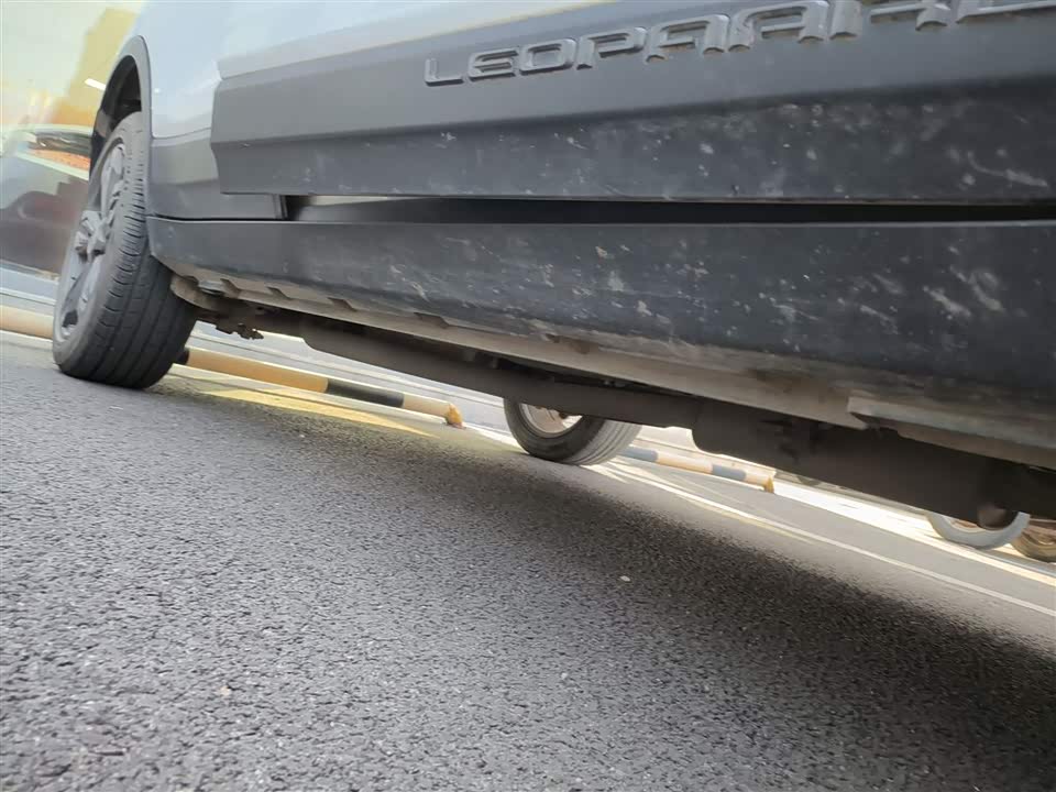 Leopaard Cheetah CS9