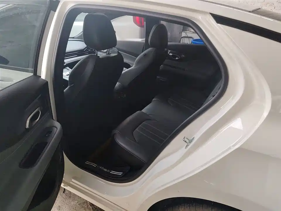 Trumpchi Shadow Leopard