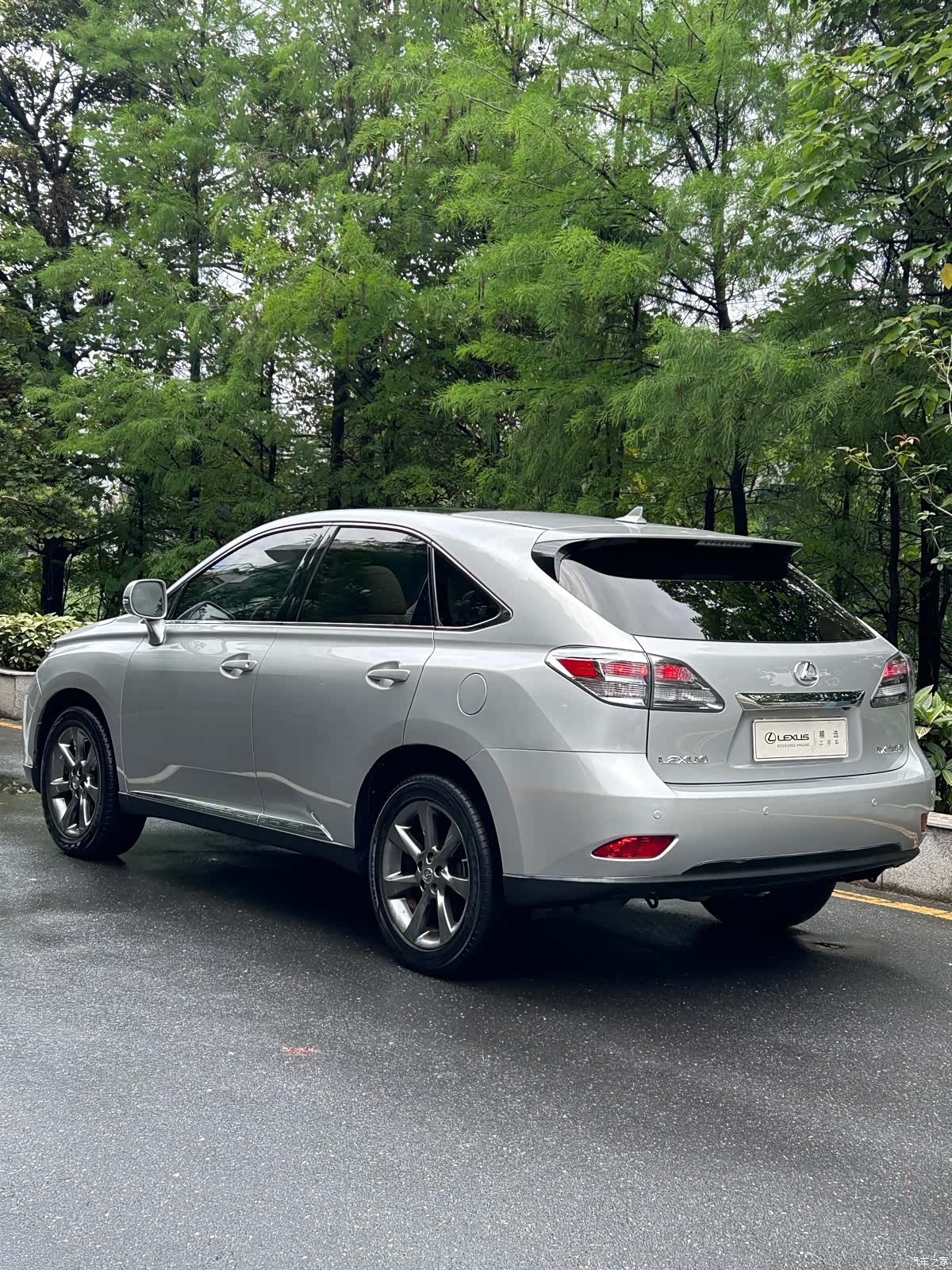 Lexus RX, 2010 все фото