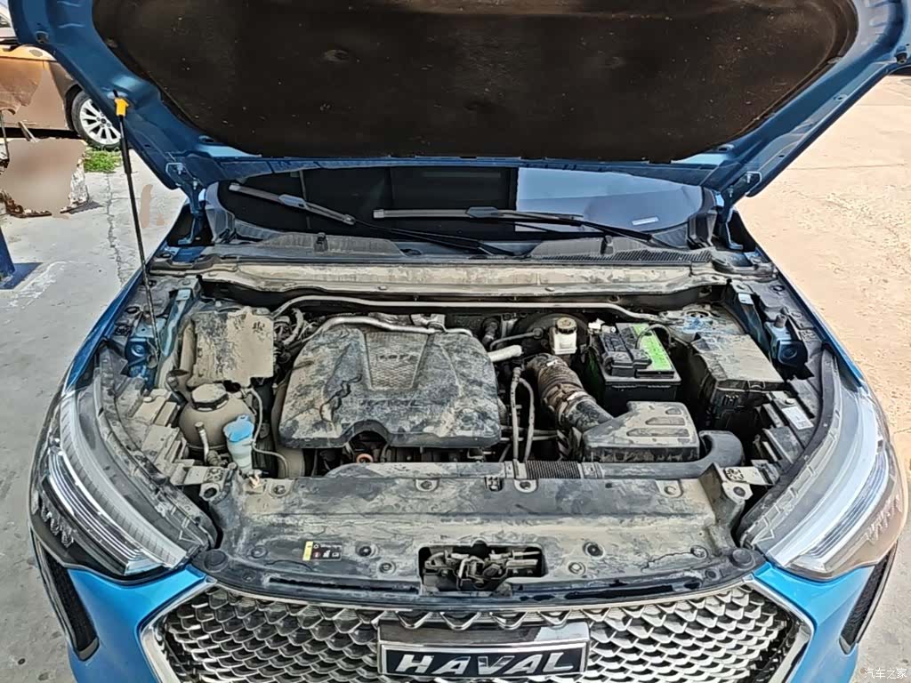 Haval First Love, 2021 20