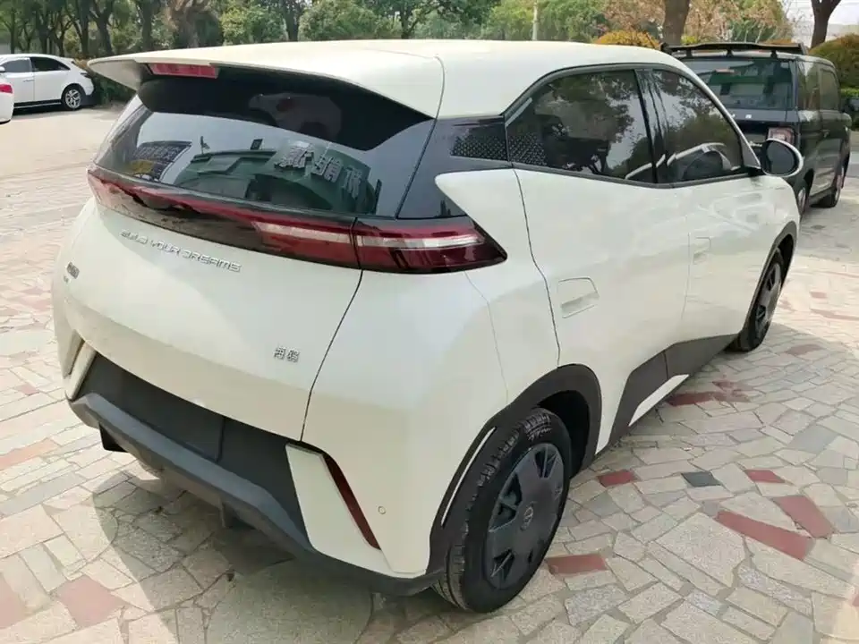 BYD Seagull
