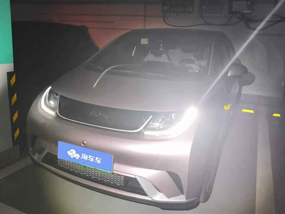 BYD dolphin