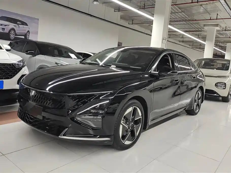 Wuling Wuling Starlight