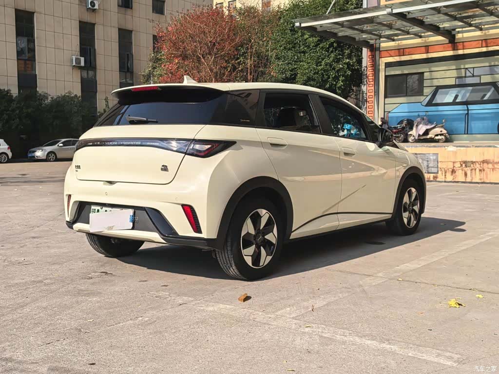 BYD Dolphin, 2024 15