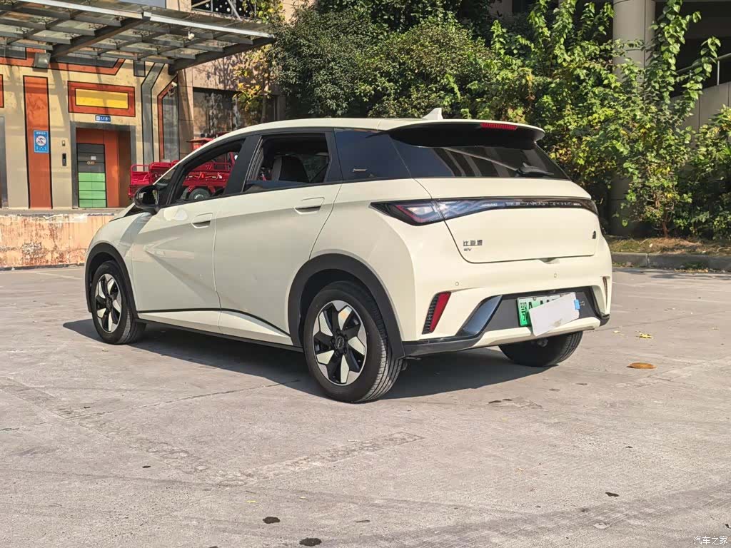 BYD Dolphin, 2024 18