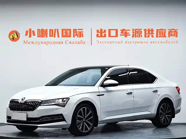 Škoda Speed pie 2023 — купить из Китая под заказ