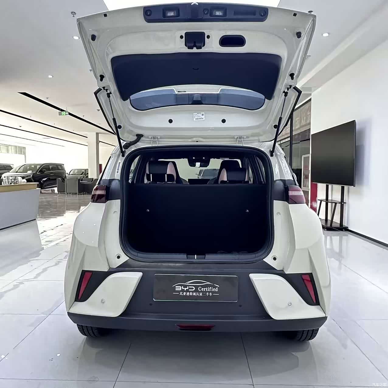 BYD Seagull, 2025 11