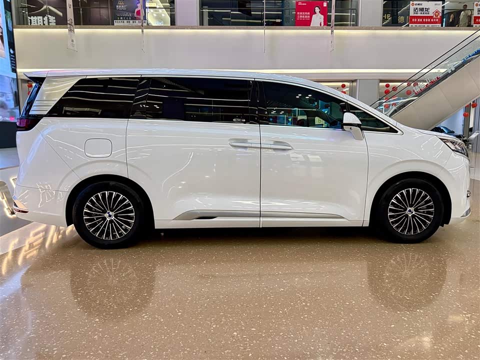 Denza D9