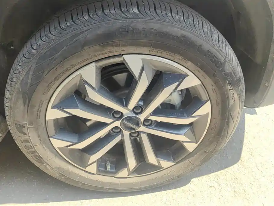 Haval Big dog