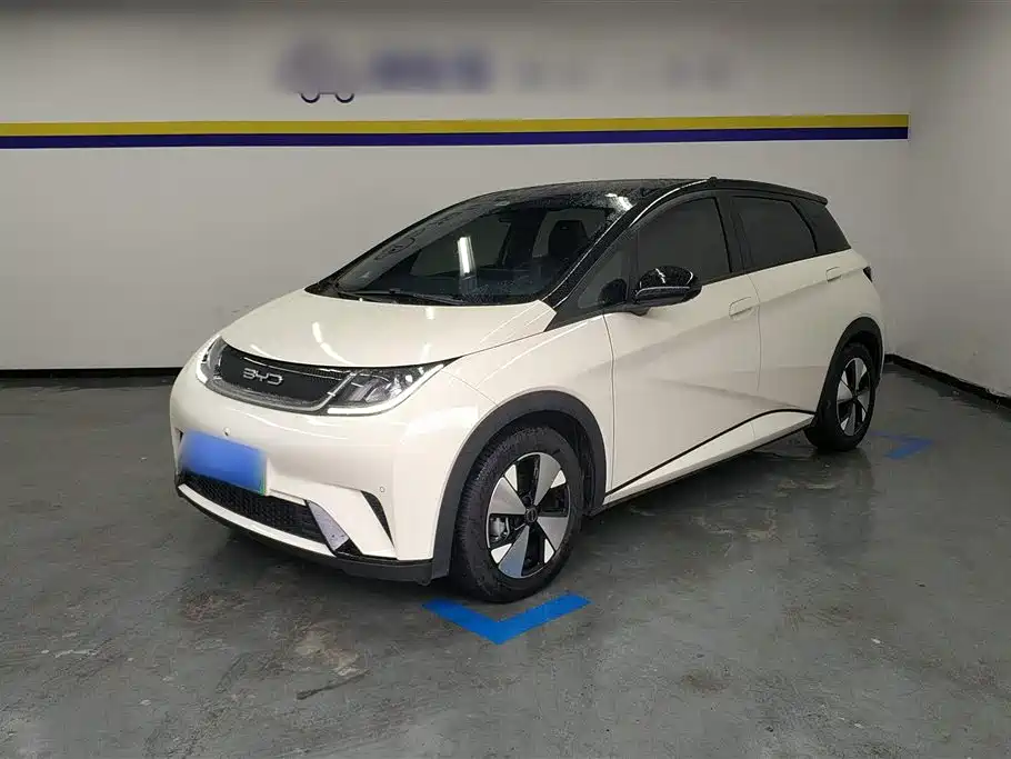 BYD dolphin