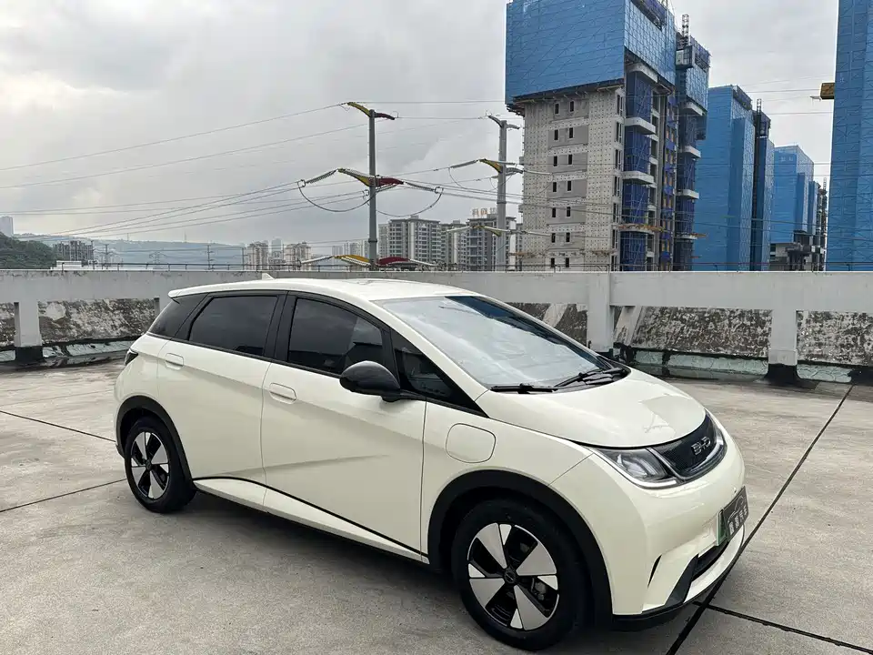 BYD dolphin BYD dolphin