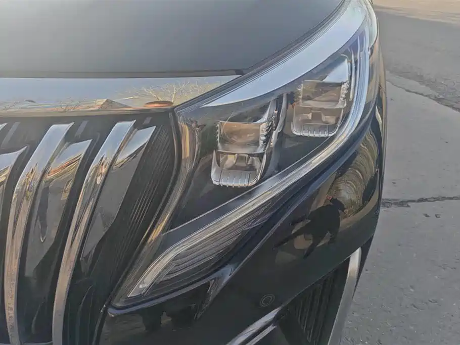 Trumpchi Trumpchi M8