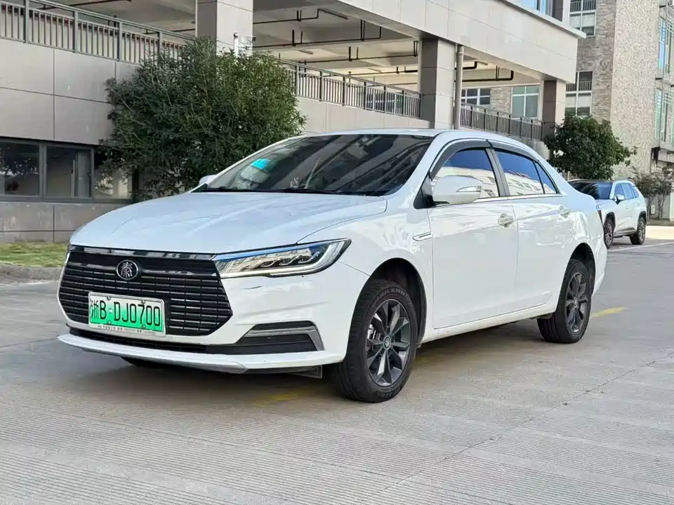 BYD Qinxin Energy