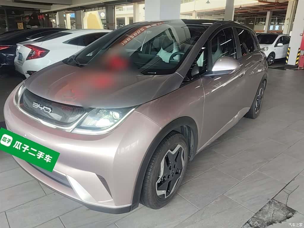 BYD Dolphin, 2022 1