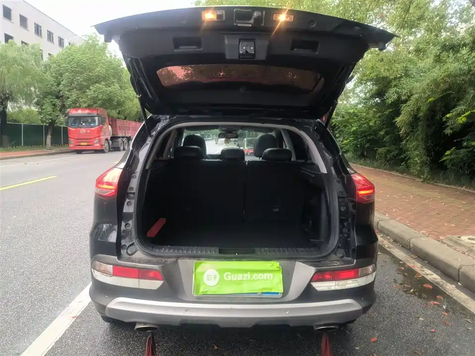 Leopaard Cheetah CS10