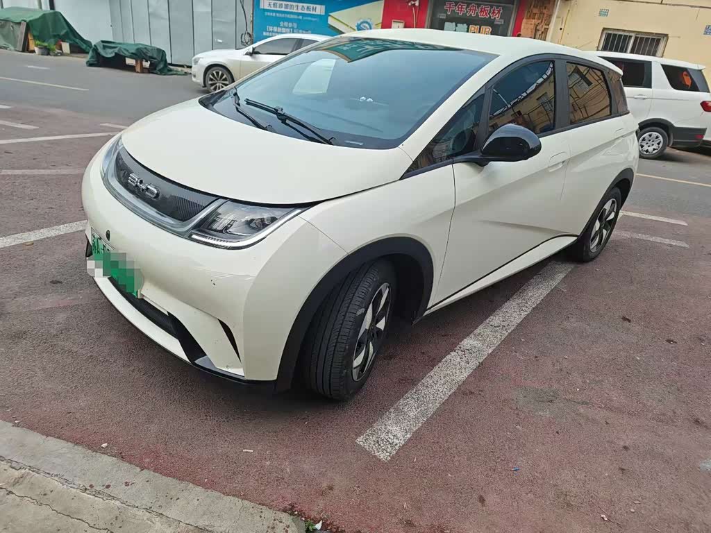 BYD Dolphin