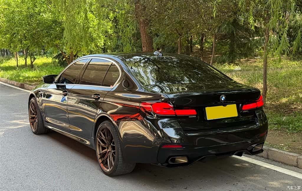 BMW 5 Series, 2020 3