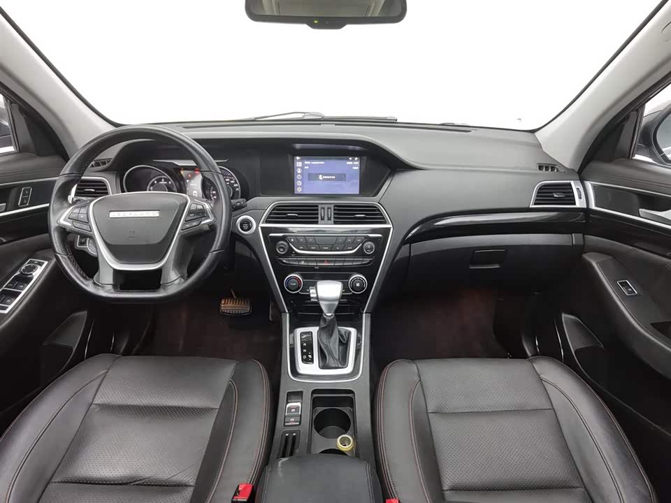 Leopaard Cheetah CS10