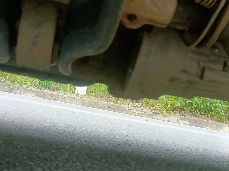 Jinbei New Sea Lion X30L