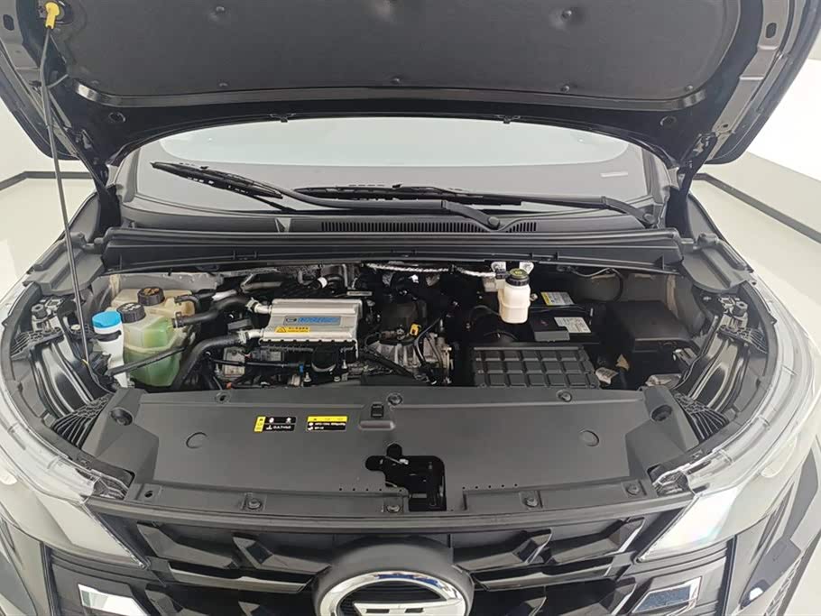 Trumpchi Trumpchi M6