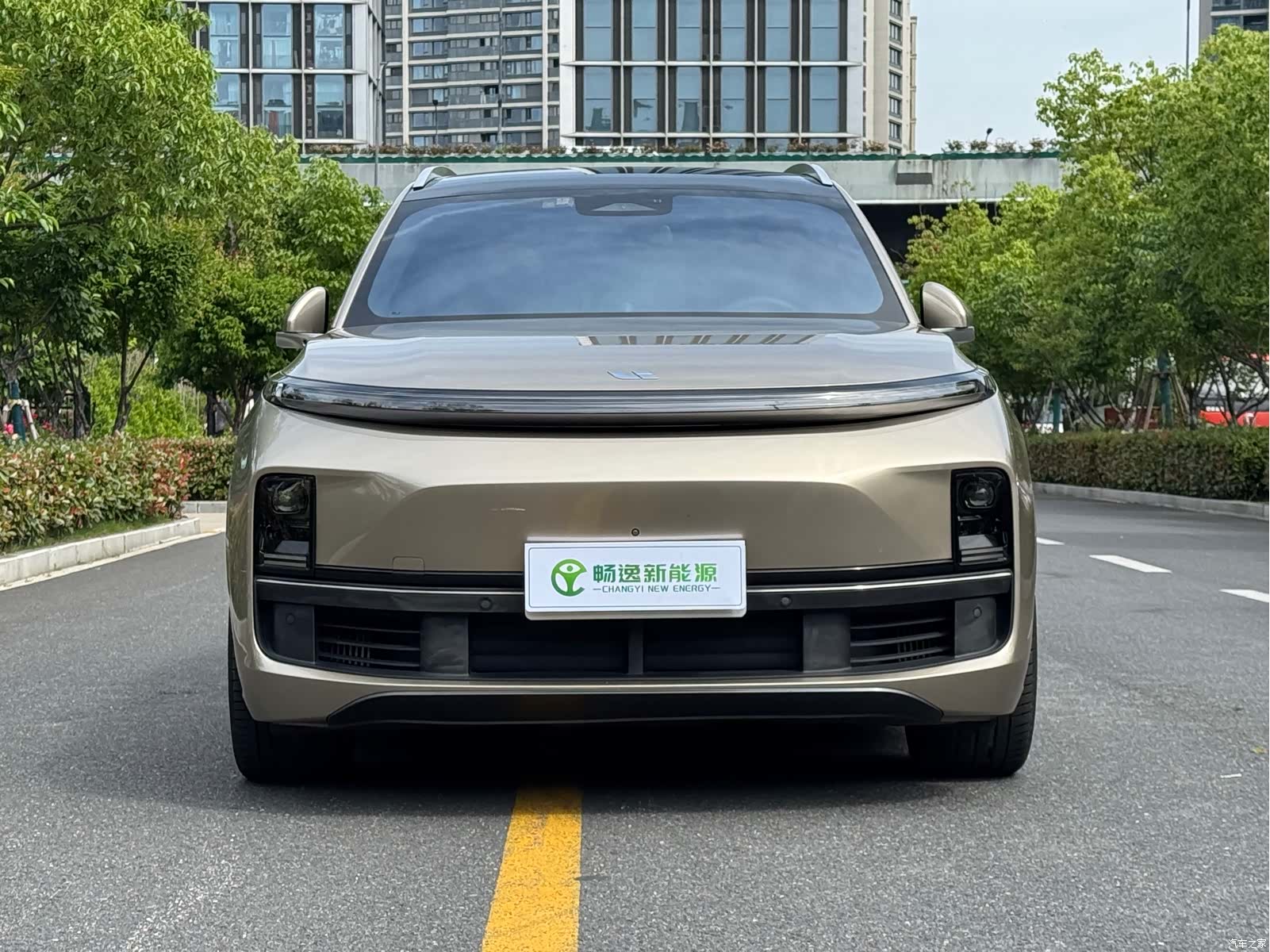 Li Auto L8, 2022 2