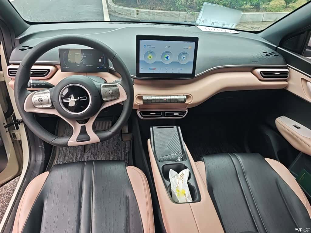 BYD Seagull, 2024 10