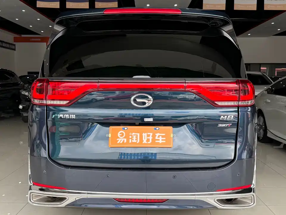 Trumpchi Trumpchi M8