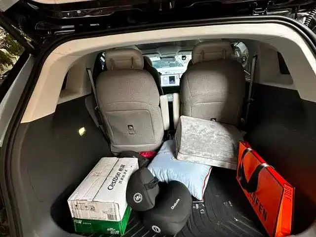 ARCFOX Polar fox koala