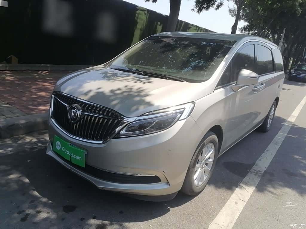 Buick GL8, 2019 2