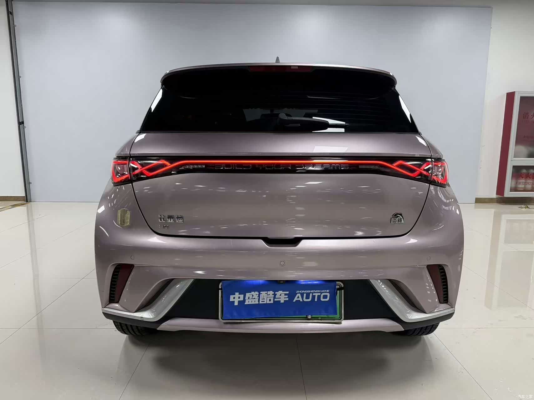 BYD Dolphin, 2023 12