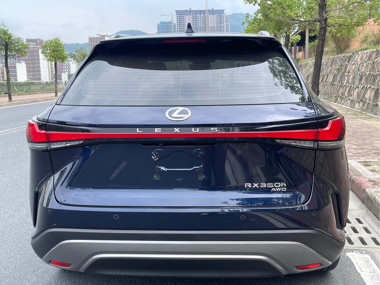 Lexus RX, 2024 8
