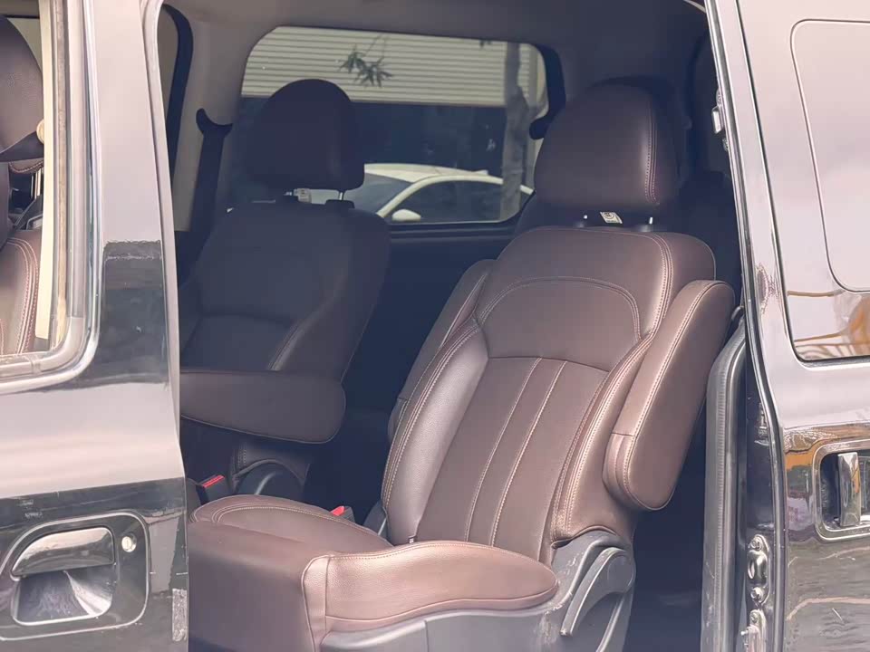 Forthing Lingzhi PLUS