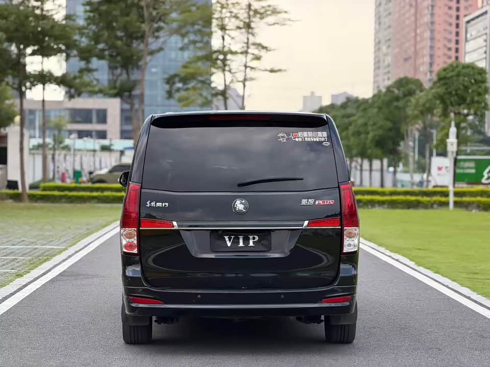 Forthing Lingzhi PLUS